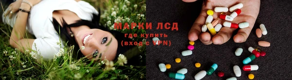 стаф Армянск