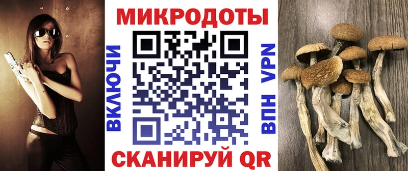 Купить закладки  Шадринск  Галлюциногенные грибы ЛСД 